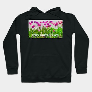 BLOSSOM WHERE YOU ARE PLANTED Hoodie